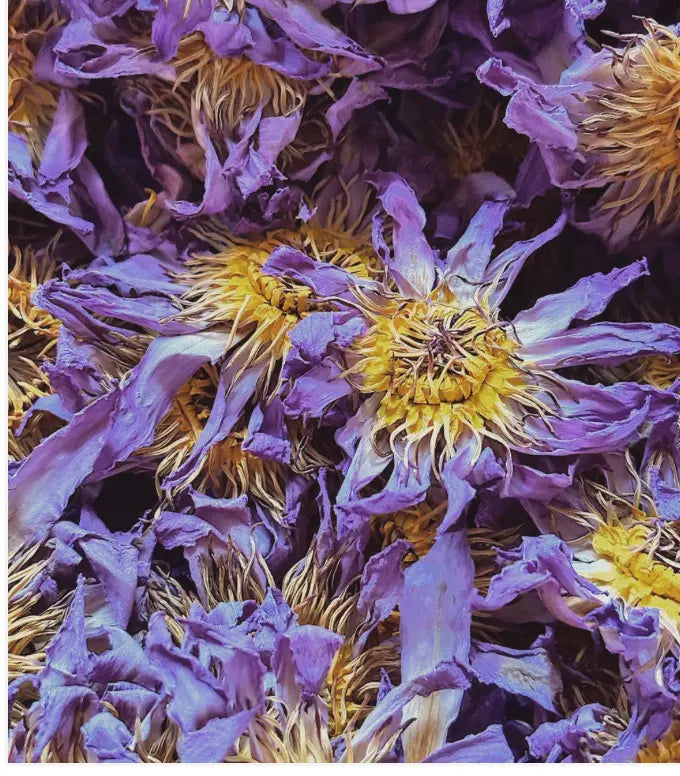 Lotus & Lovers Blue Lotus 22gm